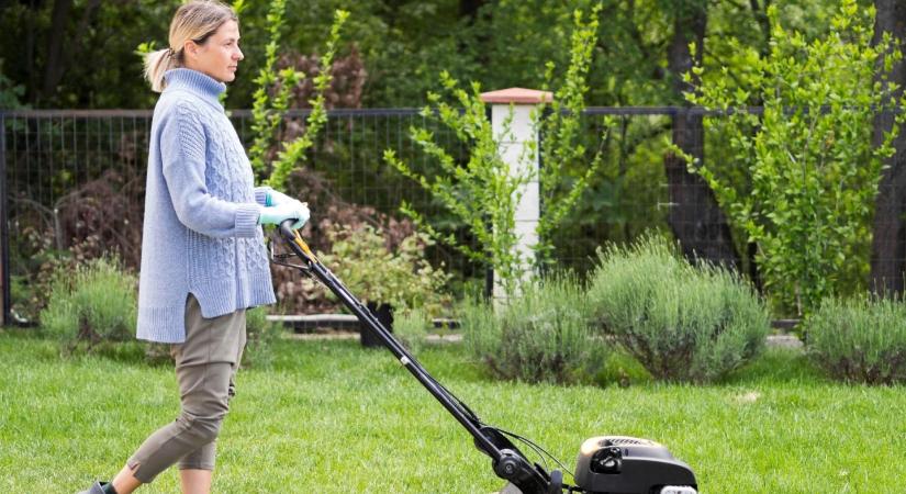 Hogyan nyírjunk tavasszal? Szakértői tanácsok fűnyíráshoz