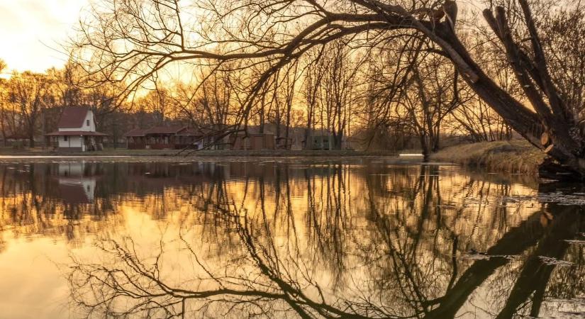 Séta a szomorú füzek alatt: az ózdi Csónakázó-tó