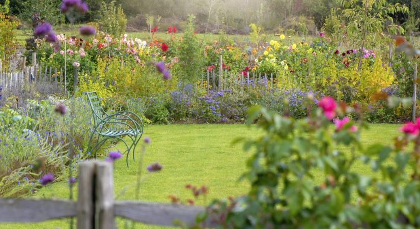 100 ezer forintot ér a gondozott kert: ebben a városban pénzjutalom jár a legszebb portának
