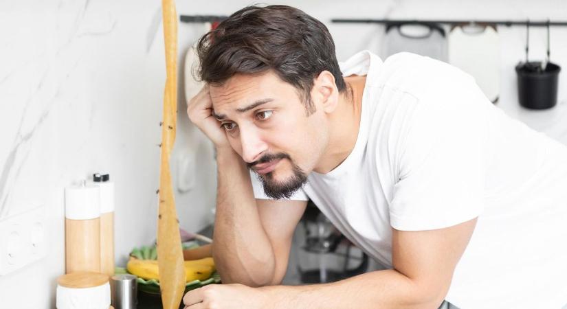 5 hatékony tipp a legyek ellen – így tartsd távol őket otthonodtól