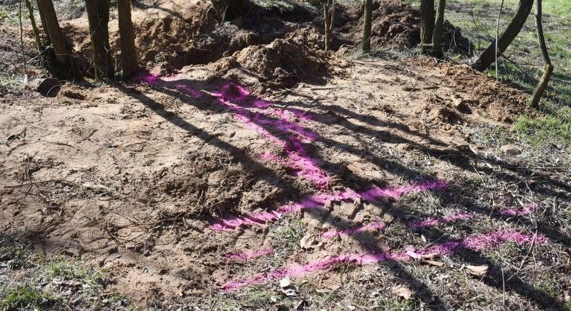 Mutatjuk, hogy ásták ki a ceglédberceli holttestet – videó