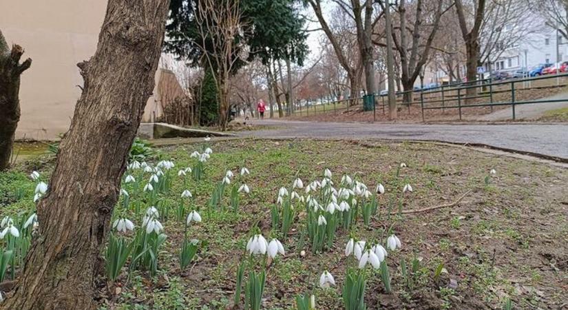 Hideg reggelre ébredt Tolna – kabát, sőt sál is kellhet március 5-én!