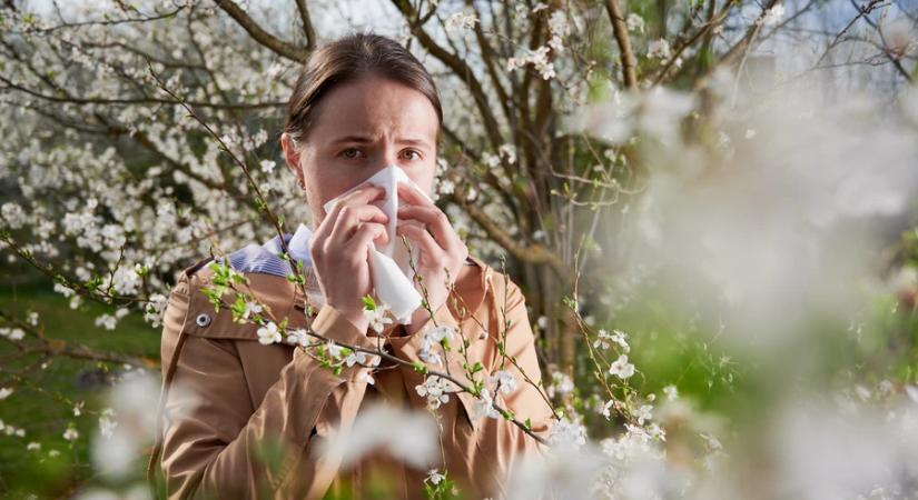 A kezdődő allergiaszezonban egyre többen keresnek rá a tünetekre a Semmelweis HELP applikációban