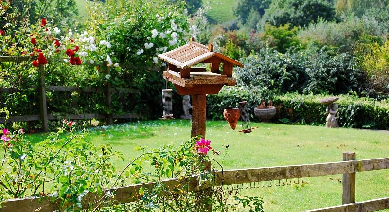 Szivacskert, erdő, tanösvény, tyúkfarm: gyerekek, tanárok és szülők építik együtt a zöld jövőt