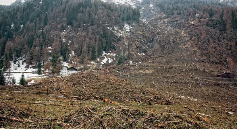 Amikor a legelő is megindul: Miért jelent közvetlen veszélyt a talajszelvények gyengülése?