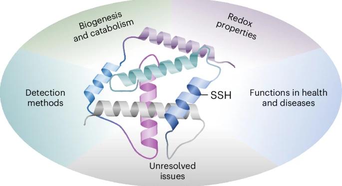 A kénatomok segíthetnek a népbetegségek megértésében