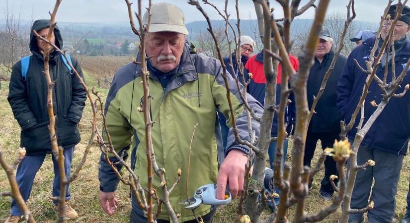 Márciusi kerti munkák: lényegbe vágó kérdések, jó tanácsok a szakembertől