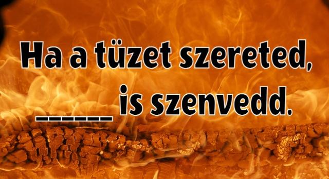 Napi közmondás feladat: A legigazabb magyar szólás a következményekről. Kitalálod a hiányzó szót?