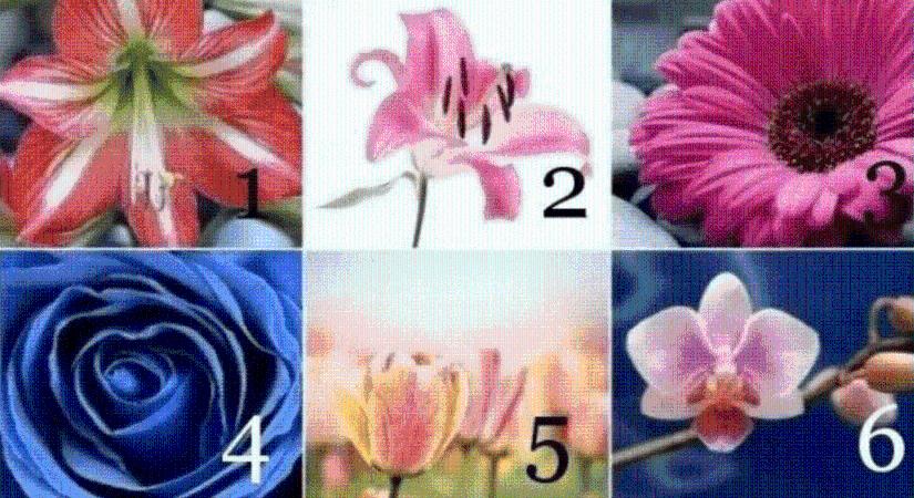 Bökj rá egy virágra, és nézd meg mit üzen a jövődről: meglepően pontos lehet