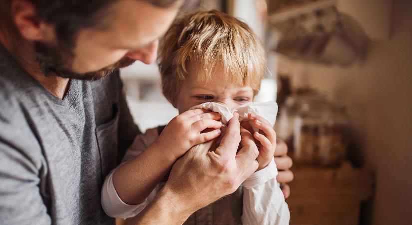 Influenzaátok ül két vármegyén