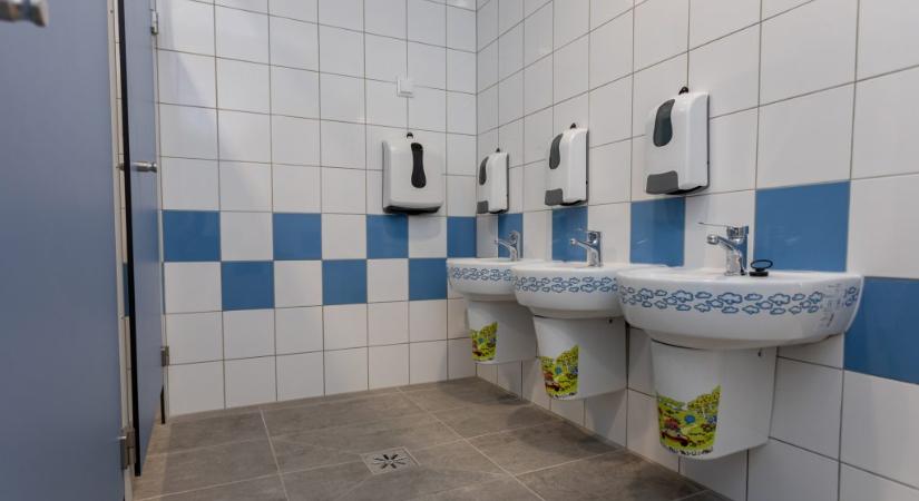 Bevitt egy nagyobb diák egy alsós kisfiút az általános iskola vécéjébe, levetkőztette és szexuális erőszakot követett el rajta