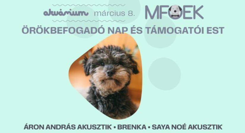 Pomelo is ott lesz! Támogató est a gazdátlan állatokért – örökbefogadó nap az Akvárium Klubban