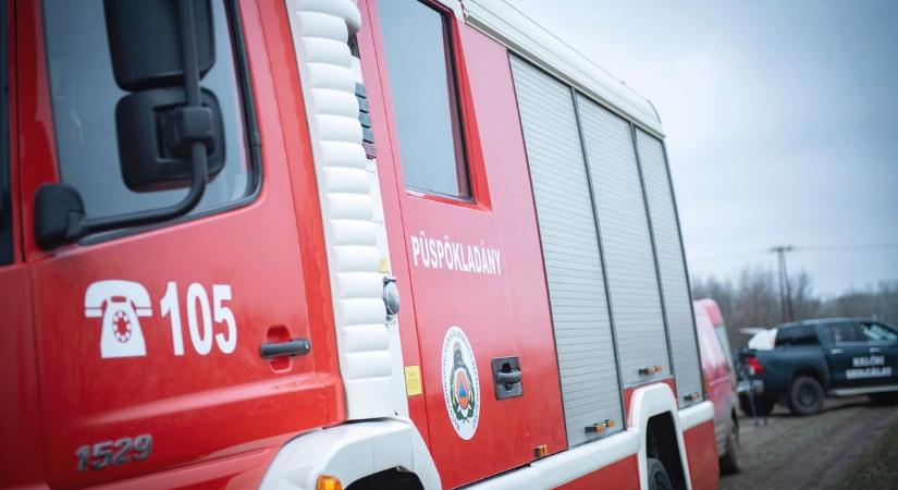 A veszélyes kétévesek Egerben is elkezdték a tevékenységüket