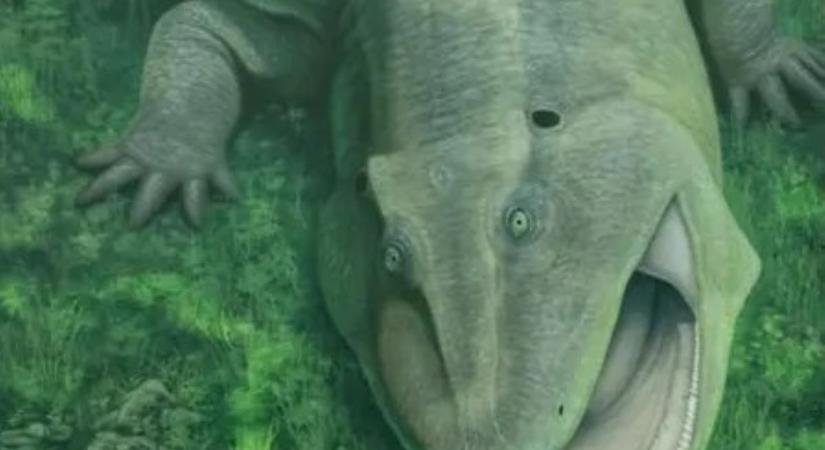 Már életében fosszília volt a bizarr lény, ami úgy nézett ki, mintha megütötték volna