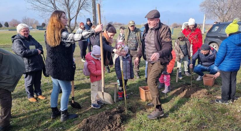 Gyümölcsfák hada talált gazdára, megmutatták hogyan kell a tavaszt indítani