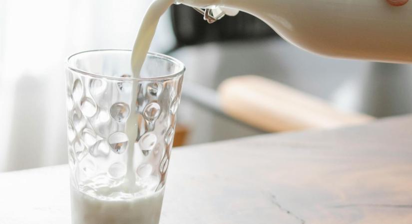 A víz után a tejpiacot is meghódítaná Balogh Levente: Miért az A2-be fektet?