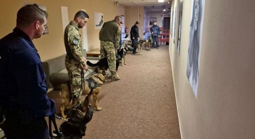 Egy dombóvári diszkóban tréningeztek a négylábú rendőrök