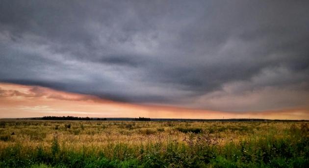 Borús a hazai vezérigazgatók hangulata, akik még az MI-ben sem hisznek