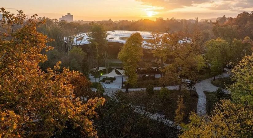 A Városliget épp azzá válik, aminek megálmodták – ezt újabb nemzetközi elismerés igazolja