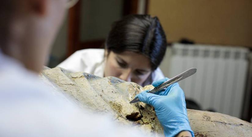 Rejtélyes műtét nyomaira bukkantak egy 2500 éve fagyott nőnél: elképesztő lelet került elő Szibériában