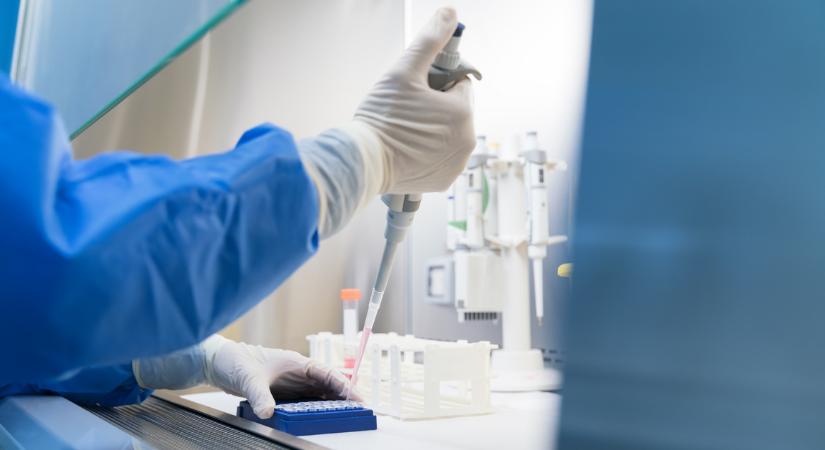 Magyar kutatók világraszóló sikere: a kénatomok rejthetik a népbetegségek ellenszerét