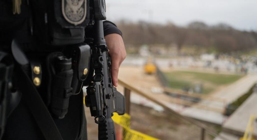 Egy idős kóbor kutya meghódította a rendőröket – már a rendőrségen él