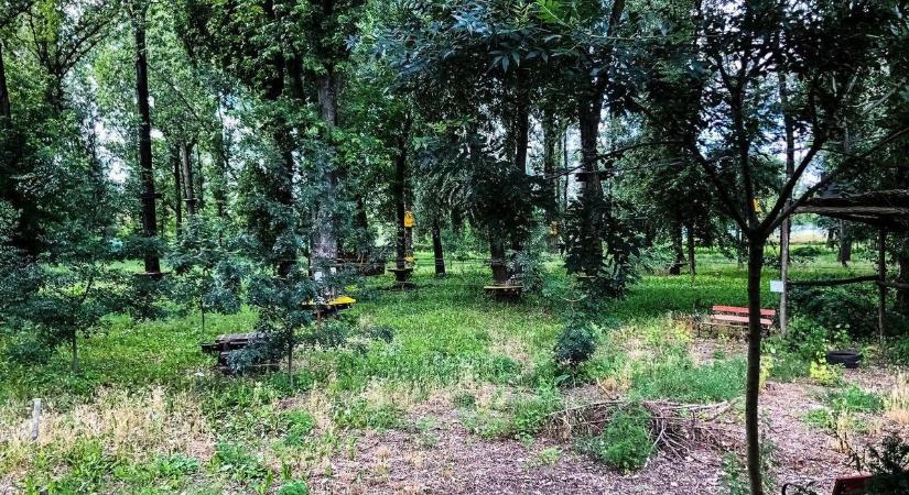 Tíz év után vége: életveszélyessé vált, ezért felszámolják a Kiserdő Kalandparkot