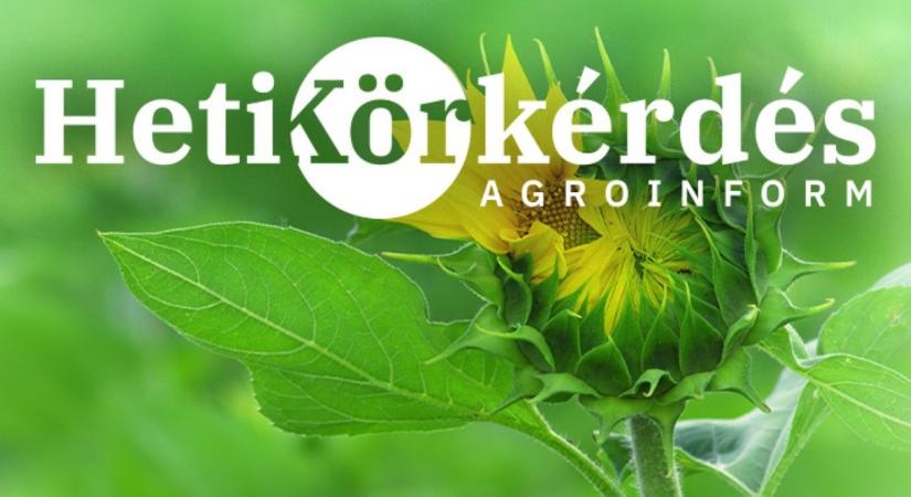 Demókísérletekkel bizonyított hatékonyság a biostimulátorok piacán – Heti Körkérdés
