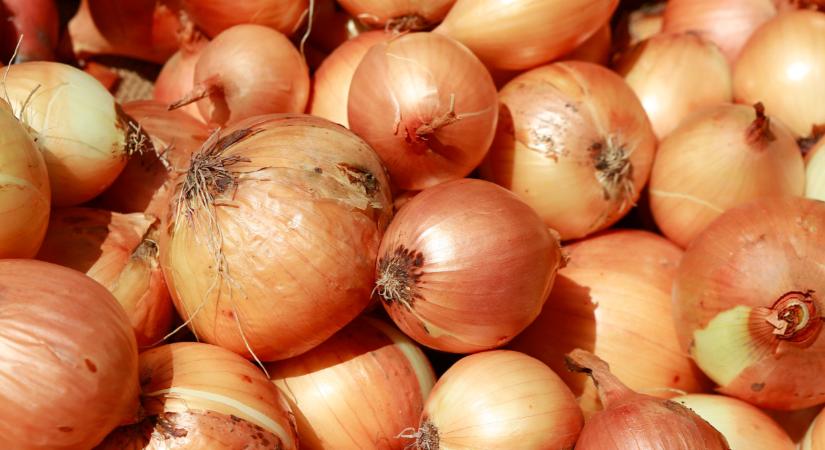 Ilyen hagyma lepheti el az európai piacokat? Egyre több van belőle