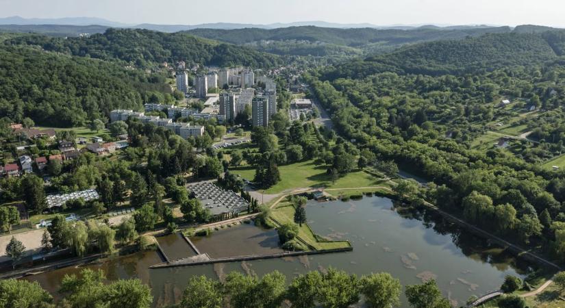 Havi 110 ezer forintért bérel az önkormányzattól egy 5630 négyzetméteres területet a fideszes politikus cége