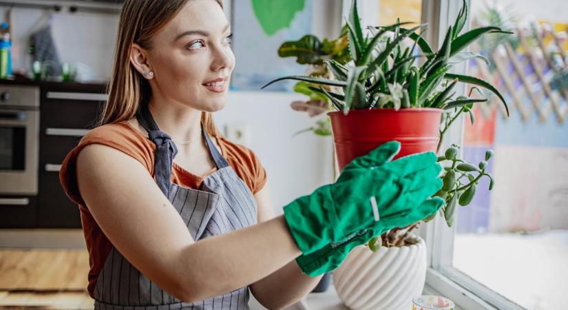 A leggazdagabb házak titka nem a pénz – hanem a rend! 10 trükk a mindig-rend lakásokhoz