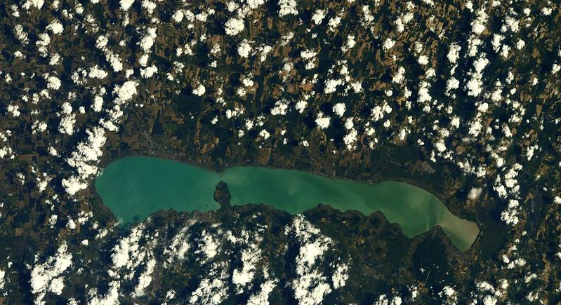 Ez a félelmetes megjelenésű ragadozó tarthatta rettegésben a Balaton környékét évmilliókkal ezelőtt