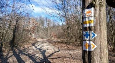 Tavasznyitó panorámatúltengés a Budai-hegységben – A Nagykovácsi körtúra