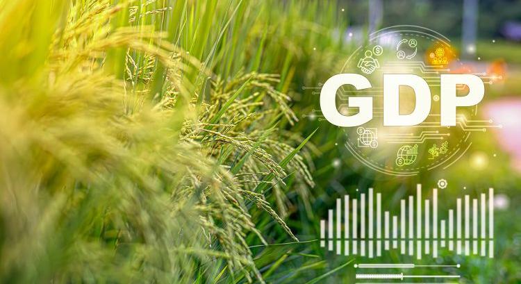 KSH: alig mozdult a gazdaság, a mezőgazdaság fékezett