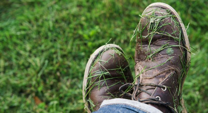 Mikor érdemes először füvet nyírni tavasszal – és mit ronthatsz el egyetlen mozdulattal?