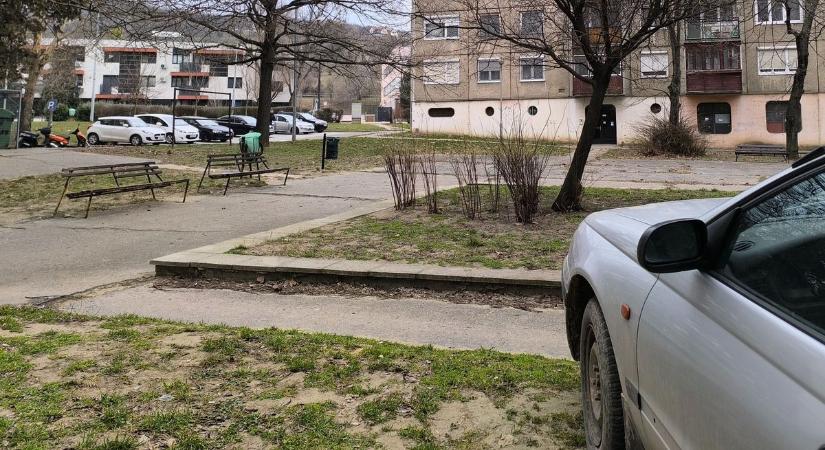 Kiabálás rázta fel Tatabányát, esélye sem volt a fiataloknak, gyászol az ország