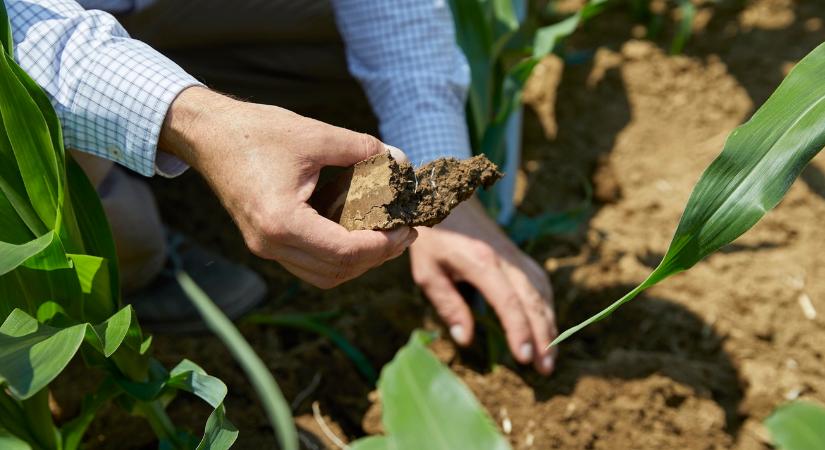 Ők már tudják: itt az új módszer, amivel a magyar gazdák is többet kereshetnek