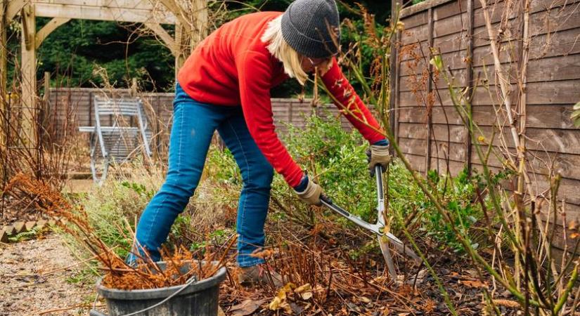 Nagyon vigyázz a tavaszi kerti munkálatok során: egyetlen rossz mozdulat is tragédiával végződhet
