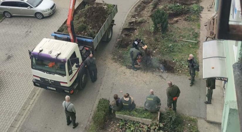 Hatalmas felháborodást keltett a kiskert felszámolása – megszólalt a Városgondokság