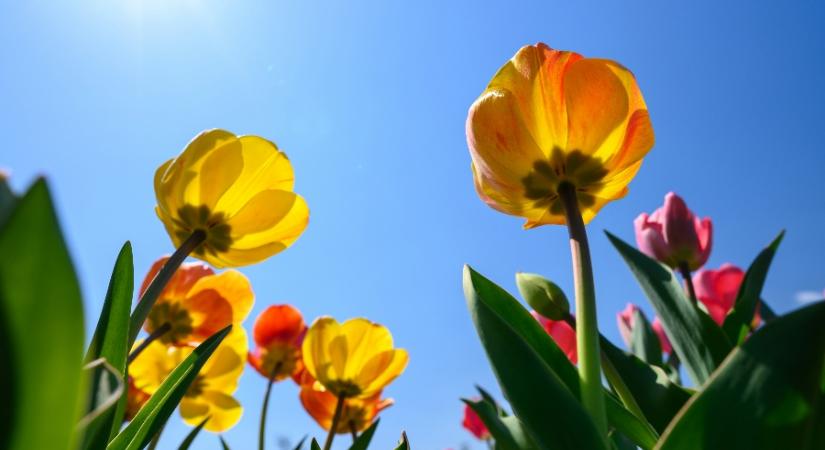 A héten már nem kell az esernyővel bajlódni