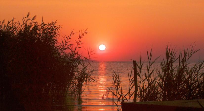 Több száz tonna hal került tavaly a Balatonba