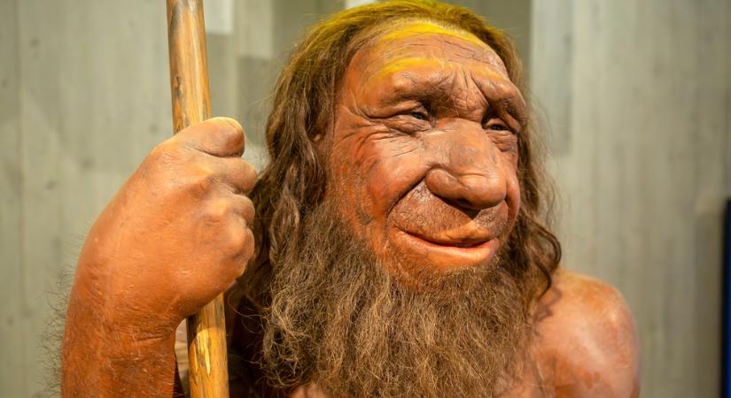 Miért tűntek el a Neander-völgyi emberek?