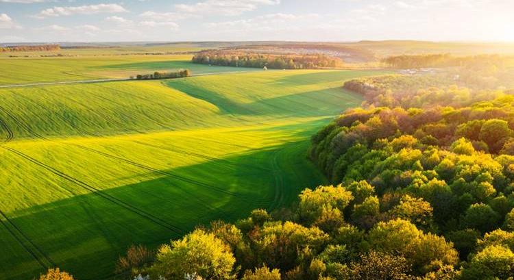 Copernicus-adatokkal optimalizálható az öntözés és az inputanyag-felhasználás