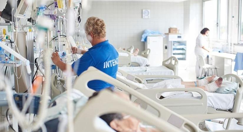 Brigitta új májat kapott, azóta elvégezte az egyetemet és édesanya lett