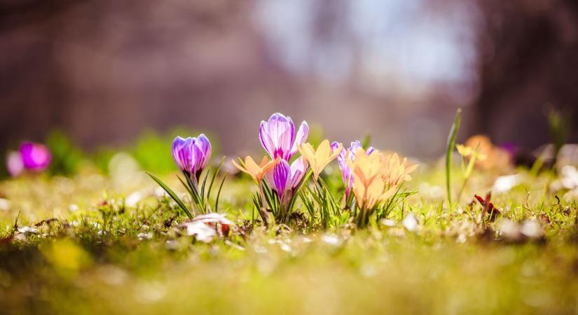 Napsütéses péntek jön, de hajnalban még odacsíp a hideg