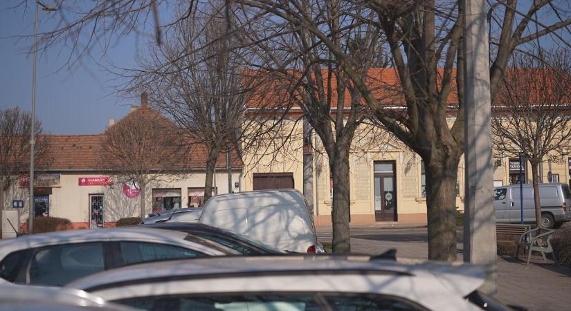 Közlekedésbiztonsági célt szolgál a gallyazás