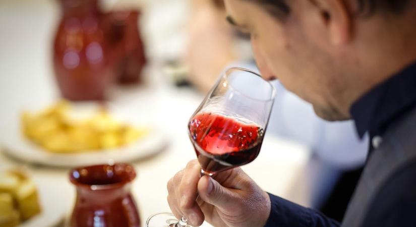 Hamarosan kiderül, kik kaptak aranyérmet a borvidéki borversenyen  videó