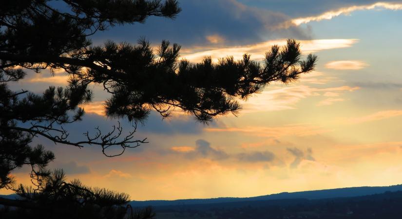 Szárazföldi krokodil maradványait azonosították a Bakonyban