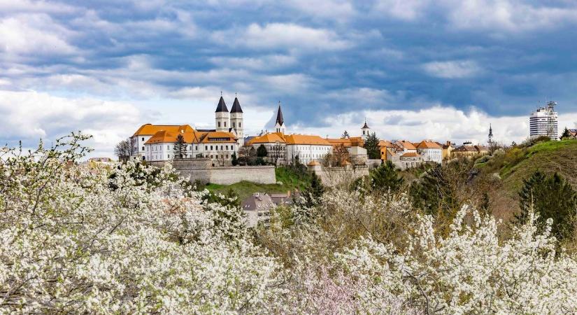 Vármegyei programkalauz: színes rendezvények várnak március első hétvégéjén