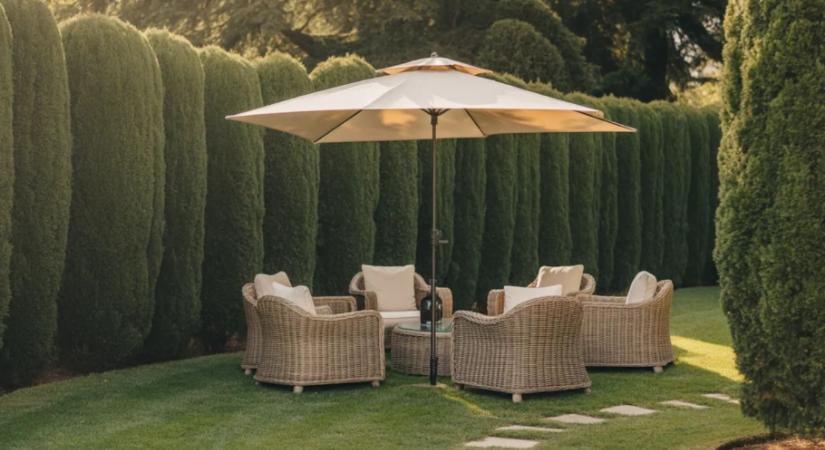 Ezek a sövények hihetetlenül gyorsan nőnek – és hamar eltüntetik a kíváncsi tekinteteket